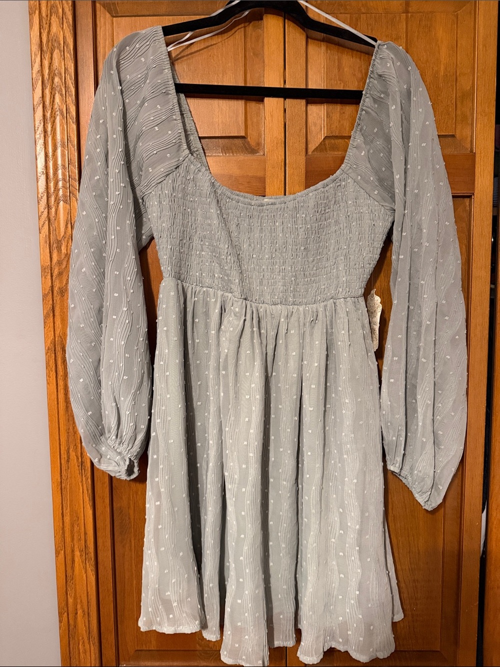 Altar'd State Light Sage Swiss Dot Long Sleeve Mini Dress